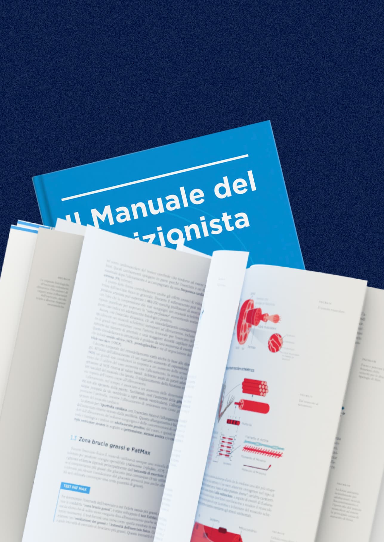 Manuale