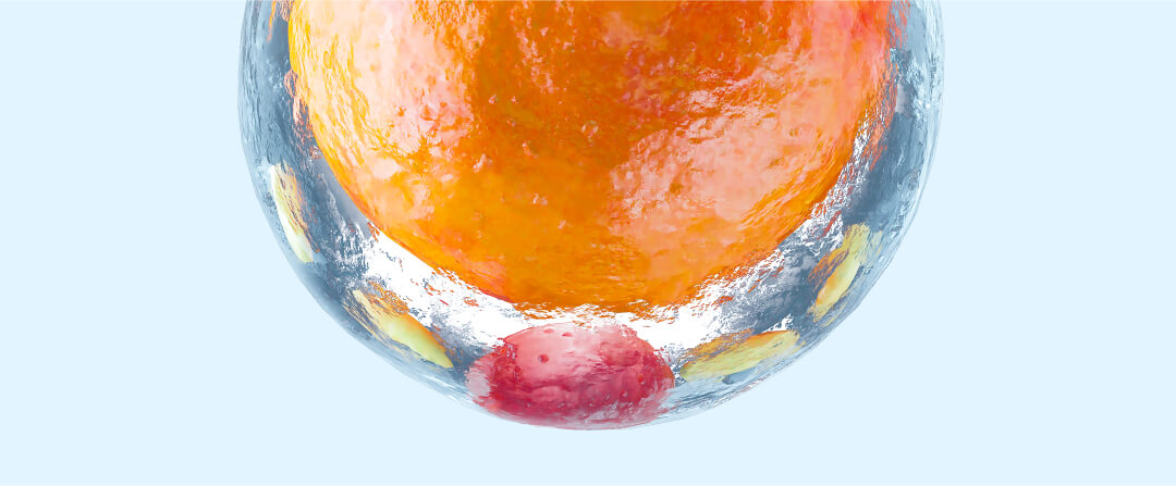 L'adattamento alla restrizione calorica e alla perdita di grasso: cause e soluzioni